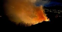 Sakarya'nın iki ilçesindeki orman yangınları kontrol altına alındı!