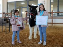 Basarili Ögrenciler Ücretsiz Ata Binip Ok Atti