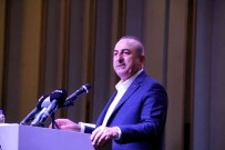 Çavusoglu Açiklamasi 'Türkiye Enerji Diplomasisinde Öne Çikti'