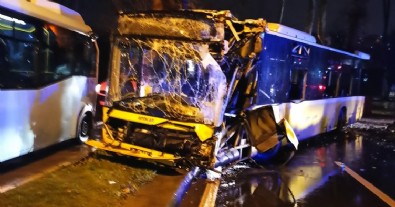 İstanbul Sarıyer'de İETT otobüsü asırlık ağaca çarptı: 7 kişi yaralandı