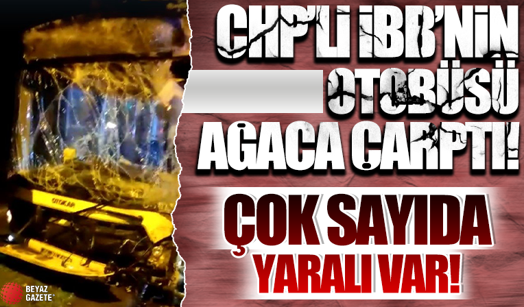 İstanbul Sarıyer'de İETT otobüsü asırlık ağaca çarptı: 7 kişi yaralandı