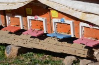 Küresel Isinma Arilari Da Etkiledi