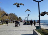 Sinop'ta Kis Ortasinda Yaz Havasi