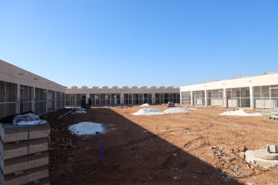 Sokak Hayvanlari Sicak Yuvalarina Kavusuyor