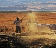 Tarimsal Girdi Fiyat Endeksi Bir Yilda Yüzde 112,41 Artti