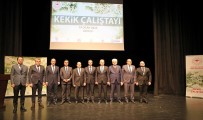 Türkiye'nin Kekik Deposu Denizli'de Sektörün Gelecegi Konusuldu