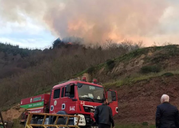 Karasu'da orman yangını! Ekipler müdahale ediyor