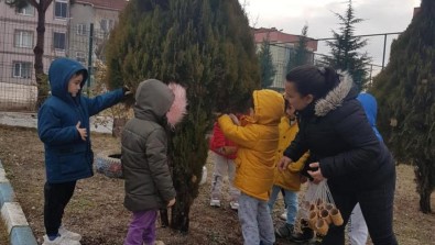 Anaokulu Ögrencileri Sokak Hayvanlarinin Yem Ve Su Ihtiyacini Karsiladi