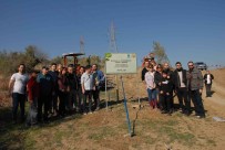 Kazada Kaybettikleri Arkadaslari Anisina Hatira Ormani Olusturdular