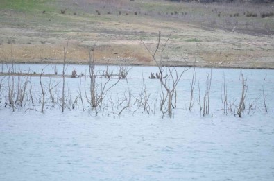 50 Yildir Böyle Kuraklik Görülmedi Açiklamasi Dipteki Agaçlar Ortaya Çikti