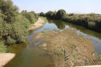 Aydin'da Barajlarin Doluluk Oranlari Düstü