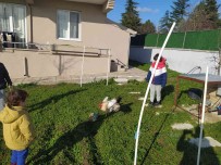 Horoz Vurdu Gol Oldu