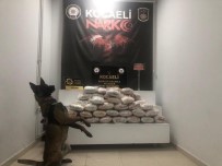 Polisi Pesine Takip, Uyusturucu Dolu Çantalari Ormanlik Alana Atti Ama Kurtulamadi