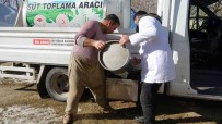 'Soguk Süt Zinciri' Projesiyle Besiciler Emeklerinin Karsiligini Almaya Basladi