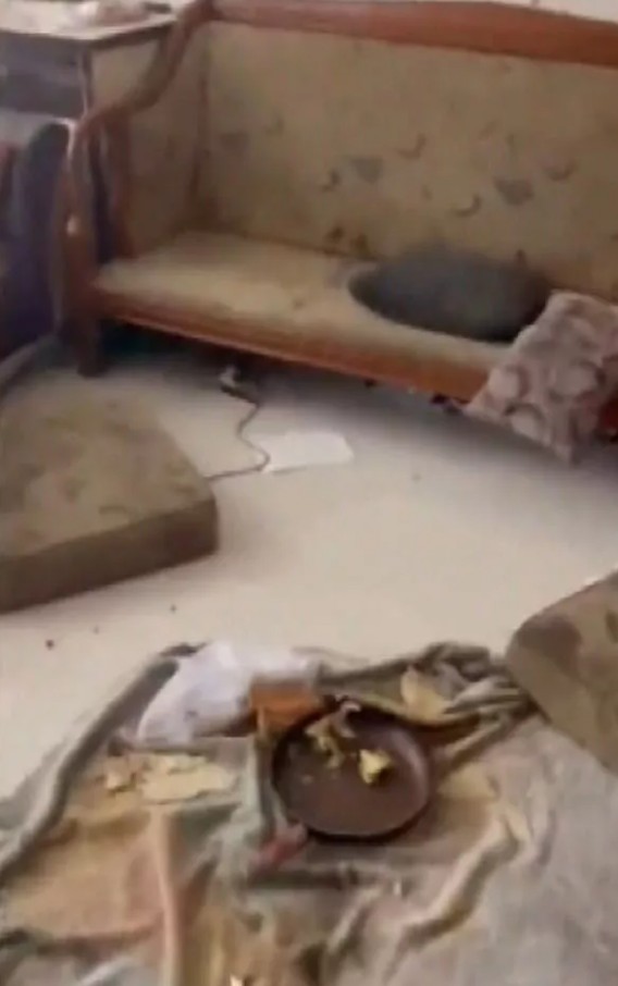 Eyüpsultan'da çöp evde 3 çocuk bulundu