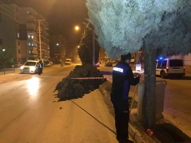 Konya'da Siddetli Rüzgar Agaçlari Devirdi