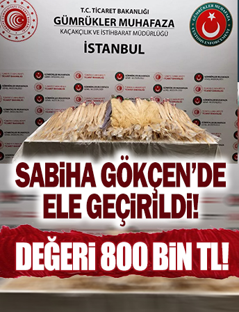 Sabiha Gökçen'de ele geçirildi: 54 kg, değeri 800 bin TL!