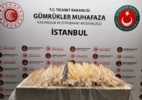 Sabiha Gökçen'de ele geçirildi: 54 kg, değeri 800 bin TL!
