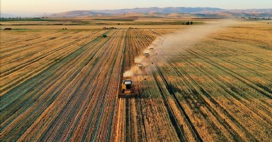 Tarım ve Orman Bakanı Kirişci açıkladı: 81 ilde başlatıyoruz