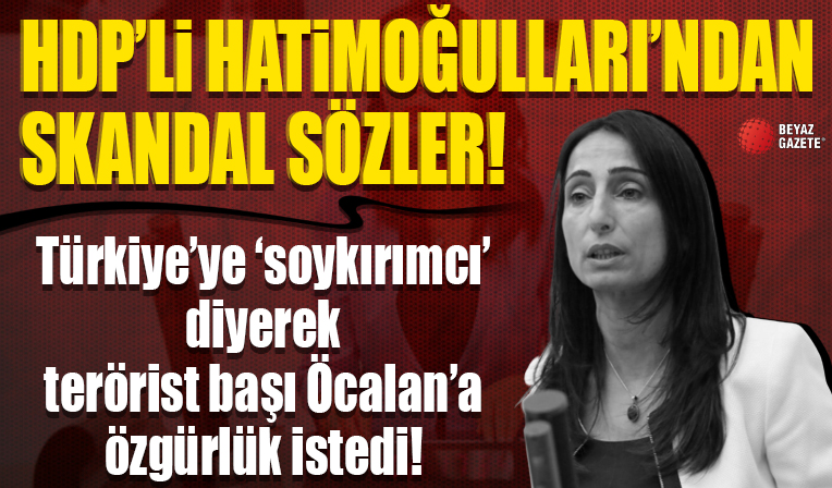 HDP'li Hatimoğulları'ndan skandal sözler: Türkiye'ye 'soykırımcı' diyerek terörist başı Öcalan'a özgürlük istedi...