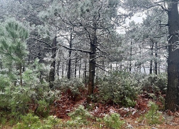 İstanbul'da yüksek kesimlere yılın ilk karı yağdı