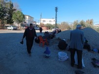 Osmaniye'de Kuraklik Nedeniyle Okunmus 70 Bin Tas Göle Birakildi