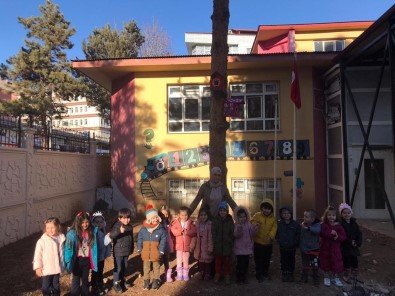 Anaokulu Ögrencilerinin Tasarladigi Kus Evleri Okul Bahçesindeki Yerini Aldi
