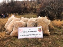 Jandarma Çalinan Tütünleri Dere Yataginda Buldu