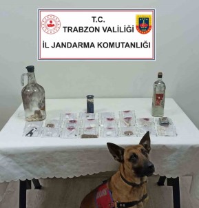 Jandarmadan Uyusturucu Partisine Baskin