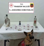 Jandarmadan Uyusturucu Partisine Baskin