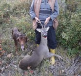 Karacayi Avlayan Sahsa 15 Bin TL Ceza