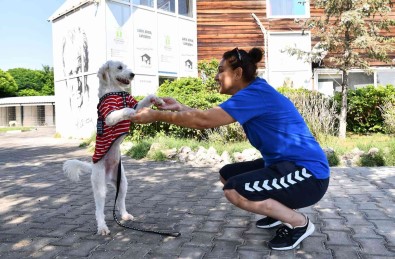 503 Canin Daha Sicak Bir Yuvasi Oldu