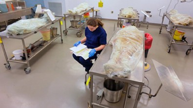 ABD'de dehşet verici olay: 560 ölünün naaşını parçalayıp sattılar