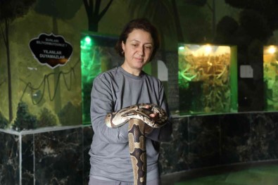 Hayvanat Bahçesi Sakinlerine Kisa Özel Bakim