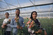 Kimse üretmeye cesaret edemiyor: Türkiye'de yetiştirilip Avrupa'ya gönderiliyor