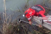 Mugla Büyüksehir Itfaiyesi 2022'De 4 Bin 476 Olaya Müdahale Etti