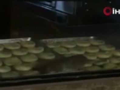 Tekirdağ’da mide bulandıran görüntü! Yiyeceklerin üzerinde farenin gezindiği iş yeri mühürlendi .