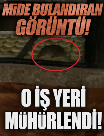 Tekirdağ’da mide bulandıran görüntü! Yiyeceklerin üzerinde farenin gezindiği iş yeri mühürlendi .