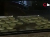 Tekirdağ’da mide bulandıran görüntü! Yiyeceklerin üzerinde farenin gezindiği iş yeri mühürlendi .