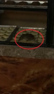 Vitrininde Fare Gezen Firina Cezai Islem Uygulandi