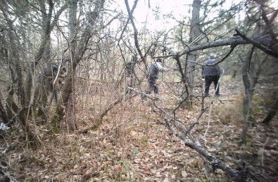 Bursa'da Define Avcilari Yakalandi