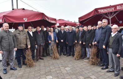 Çiftçilere 2 Bin 500 Kestane Fidani Dagitildi