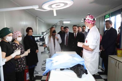 DEÜ'de Beyaz Önlük Heyecani