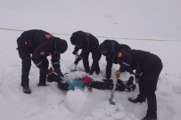 Dondurucu Sogukta Çig Tatbikati