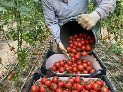 UYMSIB'nin 2023 Ihracat Hedefi 175 Milyon Dolar