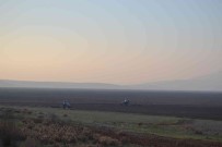 TIGEM, Marmara Gölü'nde Bugday Ve Ayçiçegi Yetistirecek