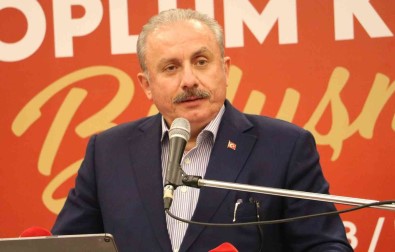 TBMM Baskani Sentop'tan Prens Harry'ye Sert Tepki Açiklamasi 'Avrupali Beyaz Çocuk, Sen Kimsin?'