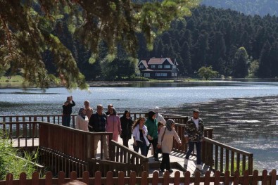 Bolu'da Ormanlara Giris Yasagi Kalkti