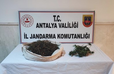 Jandarmanin 'Huzurlu Sokaklar' Uygulamasinda Çok Sayida Uyusturucu Ele Geçirildi