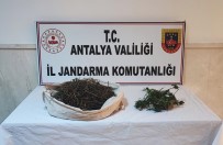 Jandarmanin 'Huzurlu Sokaklar' Uygulamasinda Çok Sayida Uyusturucu Ele Geçirildi